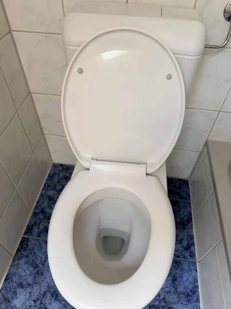 Dasselbe WC nach der Umzugsreinigung, vollstaendig entkalkt